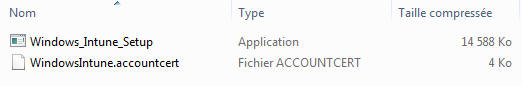 INtune EXE